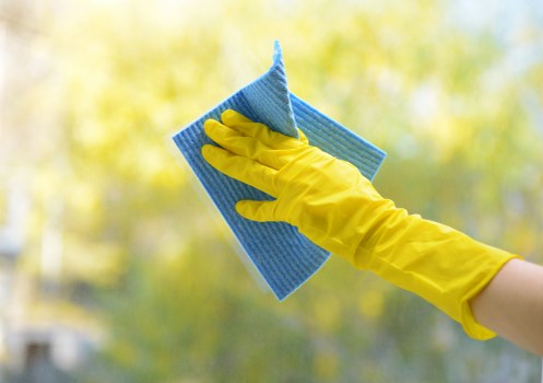 Cubitt Town carpet cleaners providing careful professional carpet care