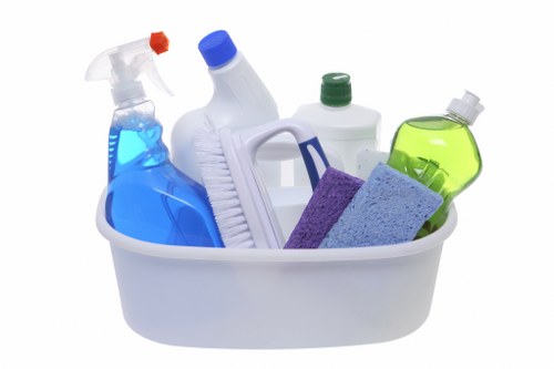 Carpet cleaning team in Cubitt Town focusing on recycling and sustainability