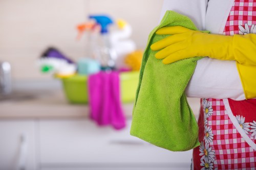 Reviewing a carpet cleaning issue and service details