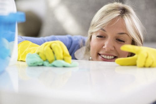 Steam cleaning process for a sofa in Cubitt Town